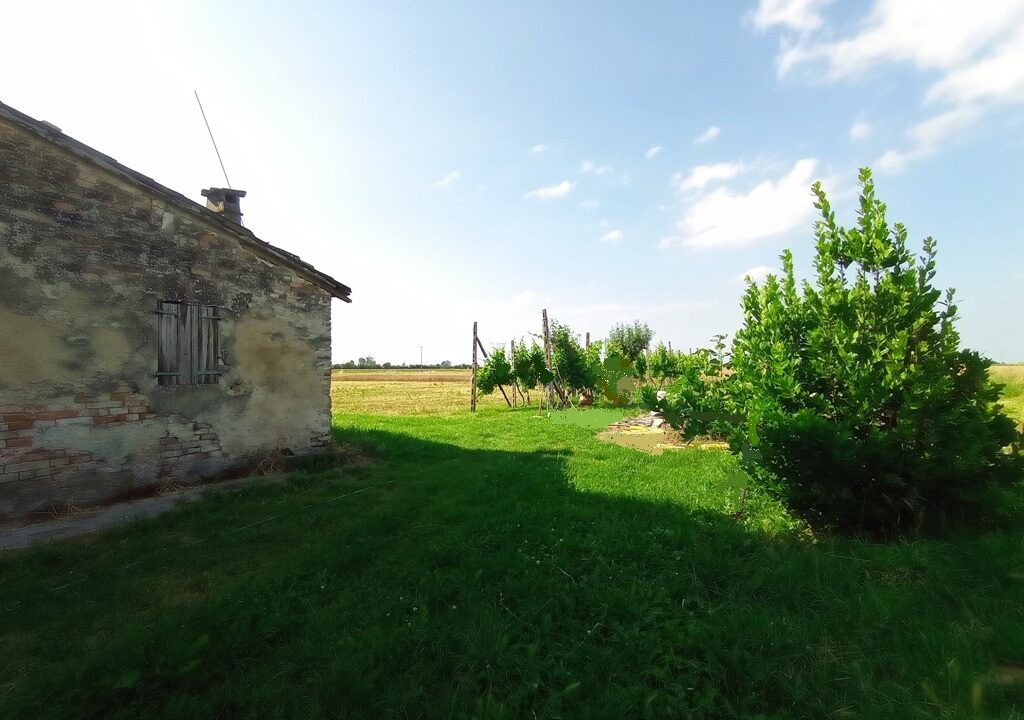 giardino casa colonica da ristrutturare Paradigna