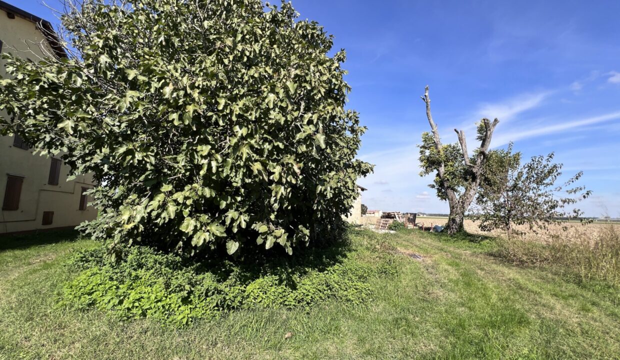 giardino casa in campagna Torrile