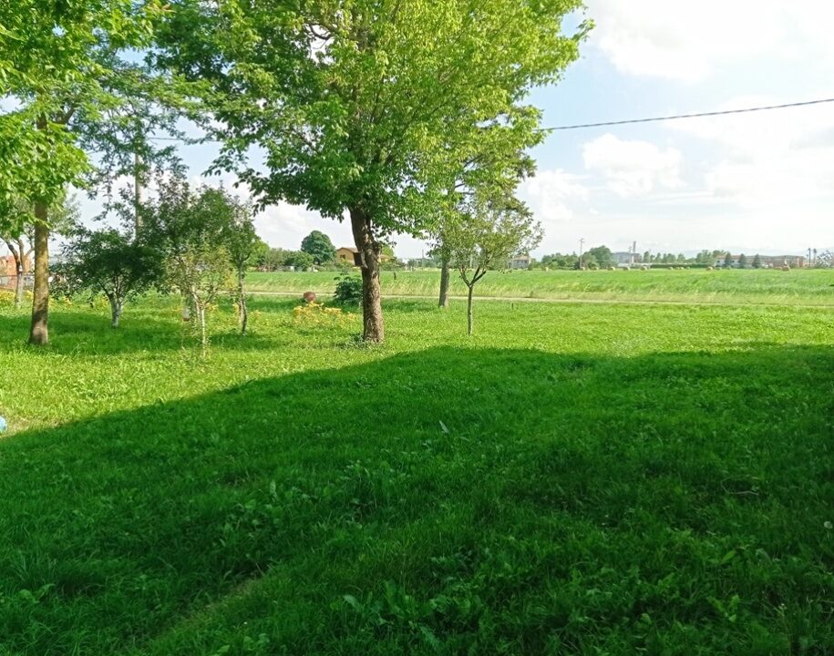 giardino casa da ristrutturare Parma nord